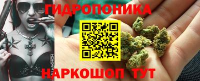 spice Аргун