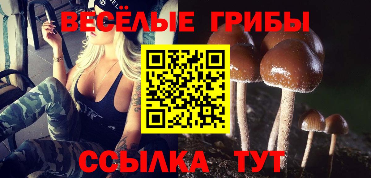 Псилоцибиновые грибы Psilocybine cubensis  Псилоцибиновые грибы Psilocybine cubensis  Балабаново  Вход с VPN 